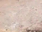 WhatsApp Video 2026-08-29 at 14.50.50 (1).mp4