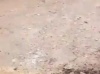 Diakhay : une ruelle au cœur d’un différend entre riverains et un particulier