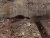 WhatsApp Video 2026-08-29 at 14.50.50.mp4