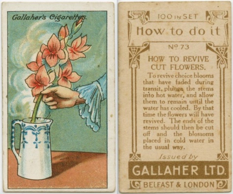 18 astuces vieilles de 100 ans qui peuvent être utiles aujourd'hui.
