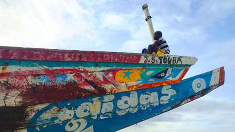 Le Sénégal agit pour améliorer la gouvernance et la durabilité du secteur de la pêche
