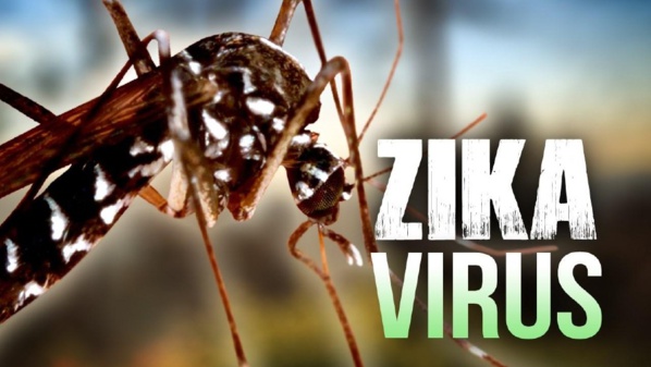 Eva Marie Coll Seck sur le virus Zika : « Il faut que nous soyons prêts car ces maladies sont présentes dans les pays voisins »