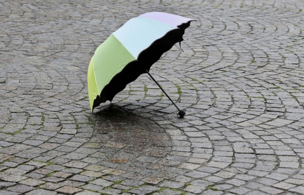 Licenciée pour avoir récupéré le parapluie cassé de sa collègue, elle fait condamner son employeur