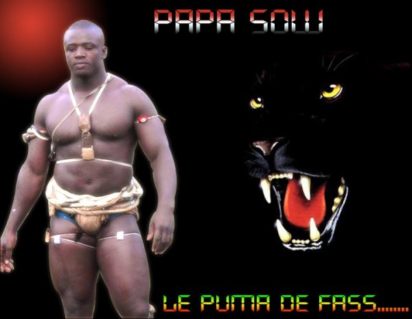 Papa Sow : « Dorénavant, je vais négocier mes combats » Papa Sow : « Dorénavant, je vais négocier mes combats »
