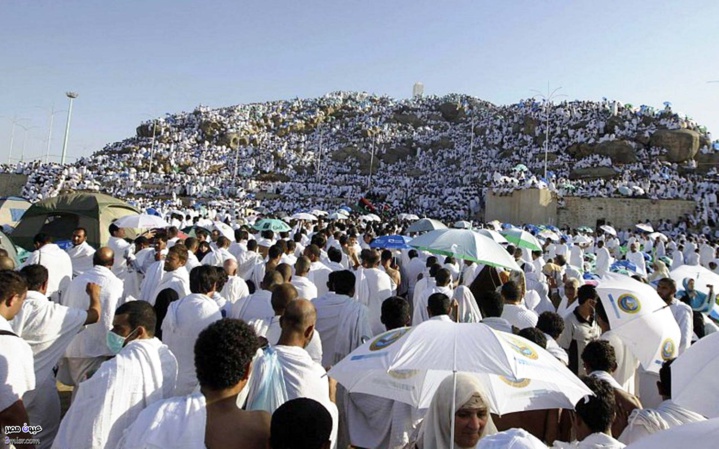 HADJ 2016 : Deux septuagénaires Algériens décédés
