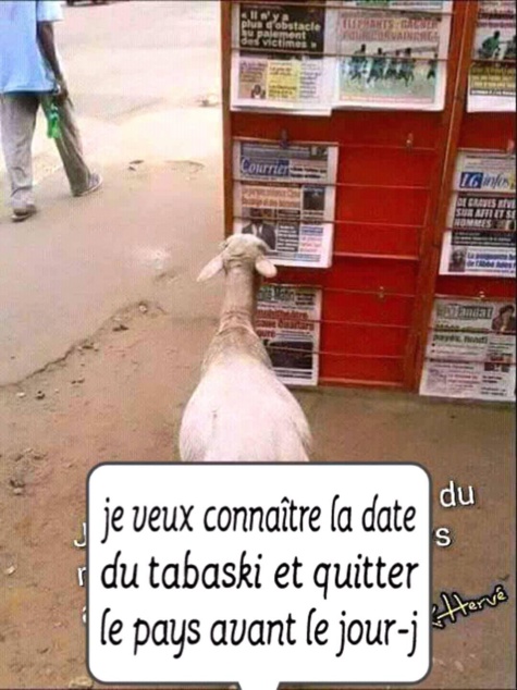 Sauve qui peut