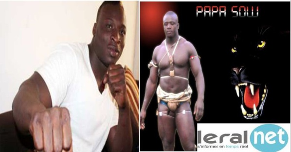 Lutte traditionnelle : Ama Baldé affrontera Papa Sow en 2017
