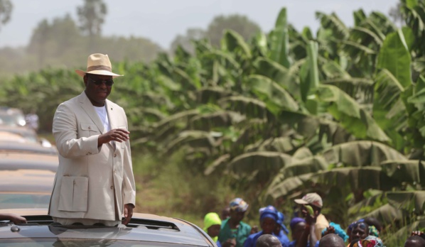 Photos : Visite du Président Macky Sall dans les plantations de banane (200 ha) de Mamadou Sall et de CORPROBAT á Laboya (Tambacounda)