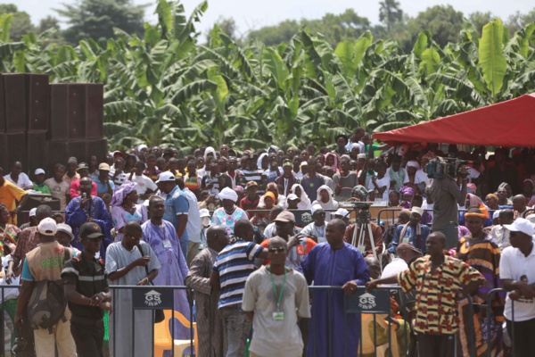 Photos : Visite du Président Macky Sall dans les plantations de banane (200 ha) de Mamadou Sall et de CORPROBAT á Laboya (Tambacounda)