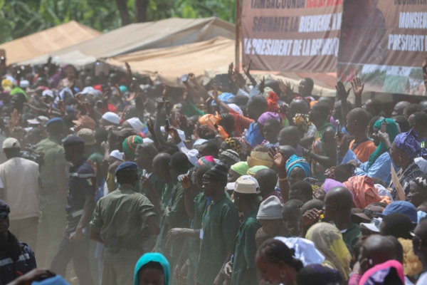 Photos : Visite du Président Macky Sall dans les plantations de banane (200 ha) de Mamadou Sall et de CORPROBAT á Laboya (Tambacounda)