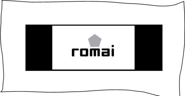 Romai Sports, le nouvel équipementier des Lions.  les Emirats vont habiller les équipes nationales du Sénégal