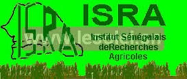 Comité scientifique et technique de l’ISRA :  faire de l’agriculture le moteur de l’Emergence