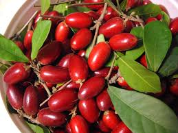 Connaissez vous le fruit miraculeux et son pouvoir extraordinaire