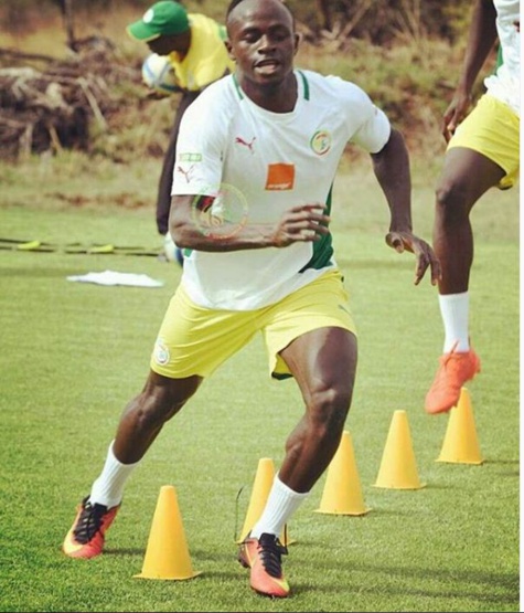 Les Lions du Sénégal dans les derniers moments de préparation, pour faire face aux Bafana Bafanas