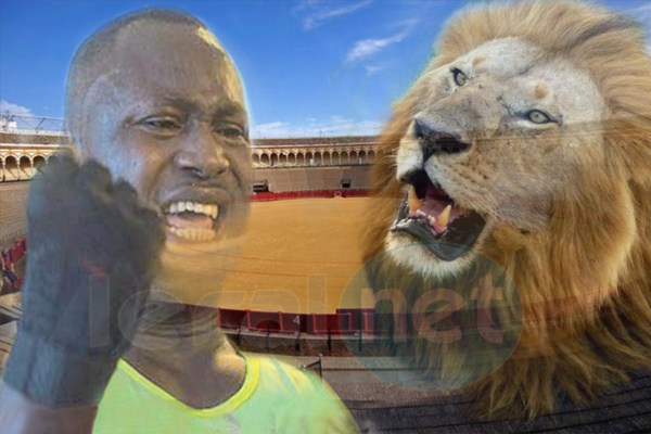 Décryptage Leral : Le Lion, Balla Gaye est "mort", Vive le Lion, Modou Lô