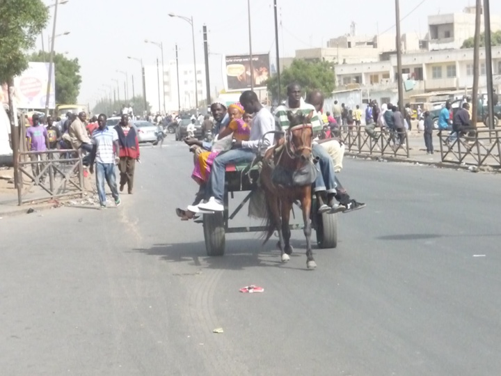 Madagascar : la mairie d’Antananarivo interdit les charrettes en ville