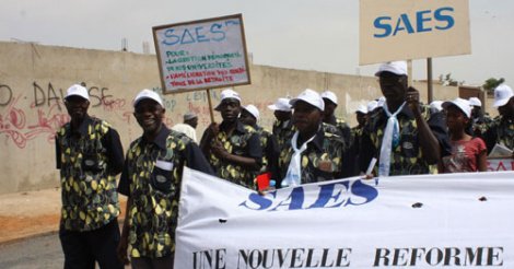 Grève UCAD : Le Saes dénonce «la précarisation des conditions pédagogiques»