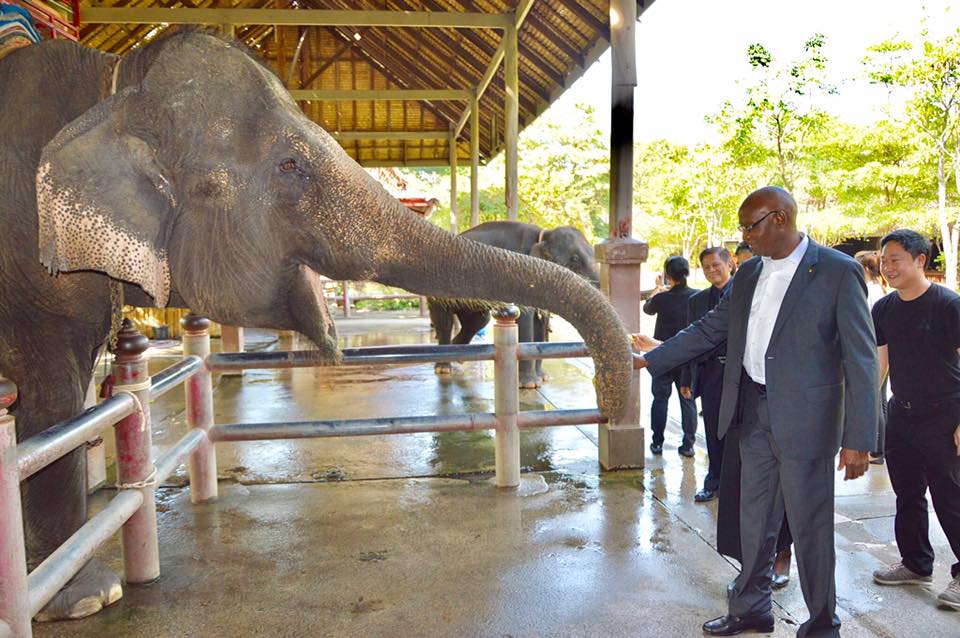 Photos: visite d'étude et travail de Serigne Mbaye Thiam en Thailande, à l'invitation de l'Agence thaïlandaise de Coopération internationale