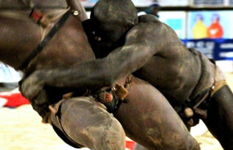 Affaire du meurtre de Ndiaga Diouf : Un ancien roi des arènes au banc des accusés