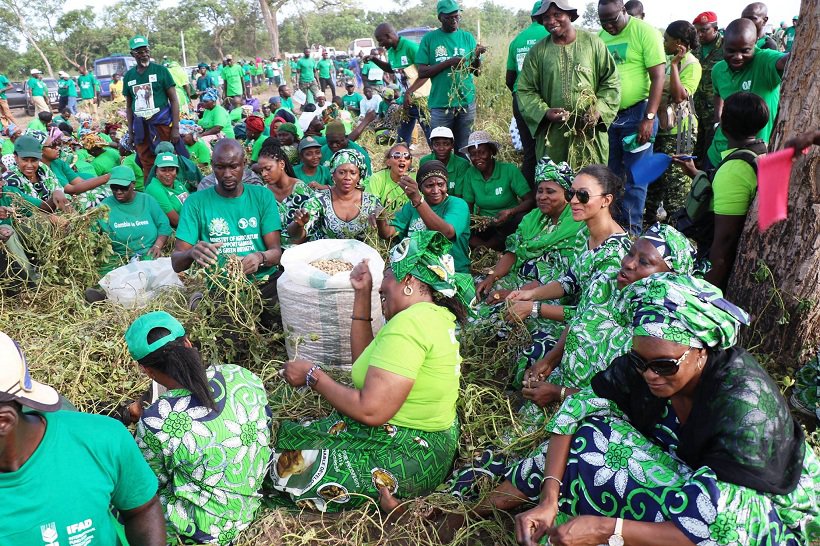 ( 04 Photos ) Et si Yahya Jammeh et son épouse Zeineb Jammeh retournaient aux champs? Voilà ce que ça donne