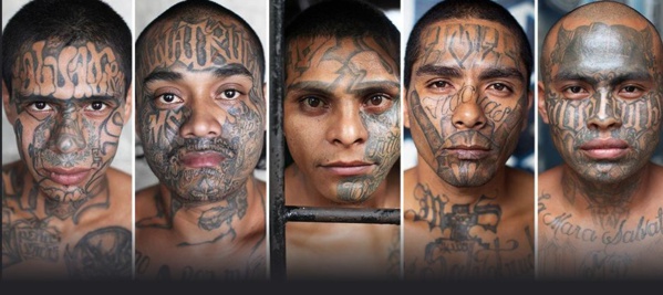 MS- 13, l'un des gangs les plus violents au Monde (Los Angeles, Californie).