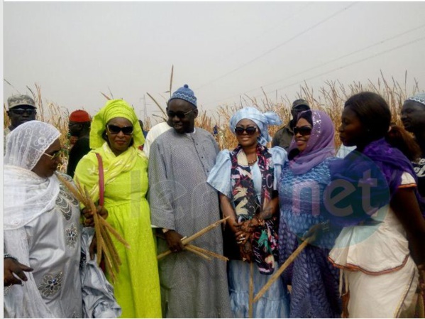 Vidéo: Samuel Sarr, le fervent disciple de Serigne Saliou Mbacké (rta) a encore cette année fait le plein aux champs de Lagane (images)