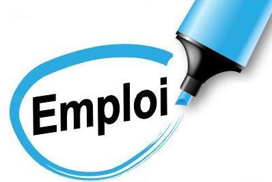 Un jeune infographiste-webmaster cherche emploi
