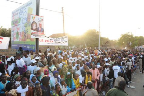 10 photos : le meeting de la rentrée politique de Mamour Diallo à Louga en images