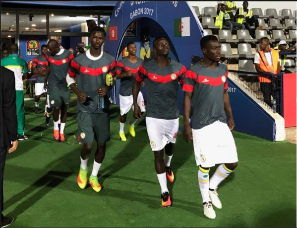 Photos: échauffement d'avant match des Lions  contre le Zimbabwe