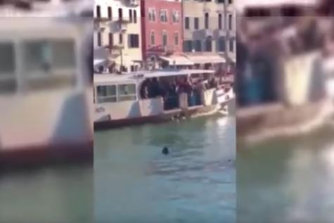 Italie: Un Gambien se noie dans le Grand Canal de Venise sous les rires des passants