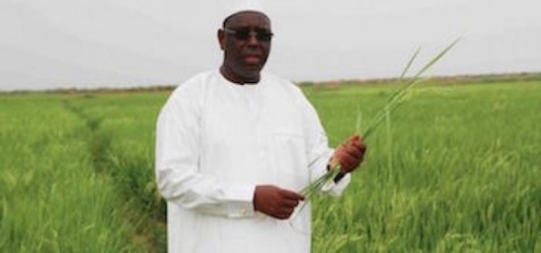 Le Sénégal vise une "émergence inclusive", selon le Président Macky Sall