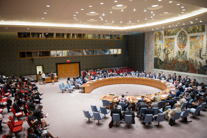 Le Conseil de sécurité condamne l'attaque contre une équipe de l'ONU à la frontière Cameroun-Nigéria