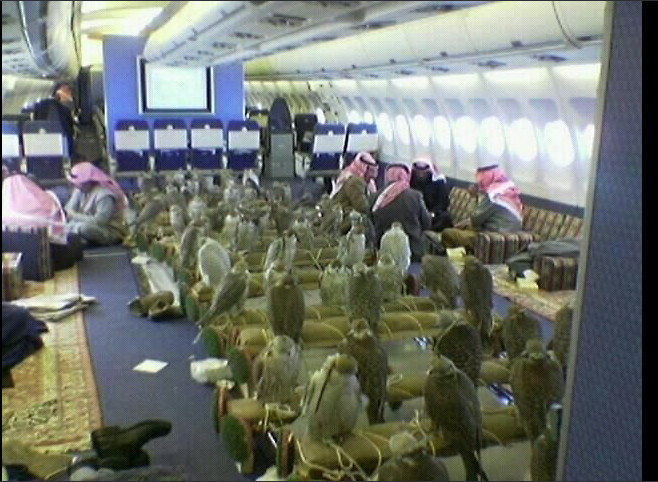 Insolite: Un prince saoudien paie des billets d'avion pour ses 80 faucons, autorisés à embarquer