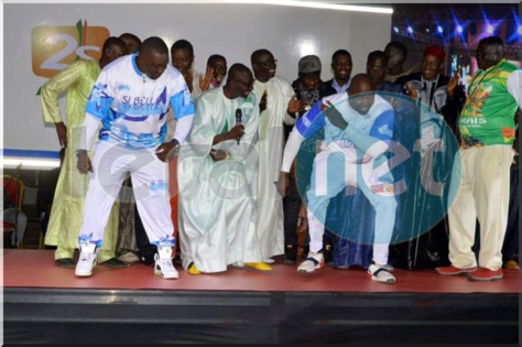 L'artiste Papa Diouf et les lutteurs: Boye Niang, Gouy Gui, Khadim Ndiaye et Lac de Guier sur scène en quelques clichés