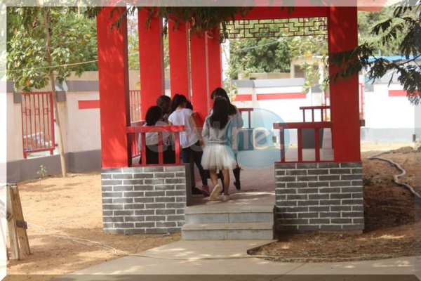 Conficius Institute: Revivez en images le brassage culturel entre Sénégalais et Chinois