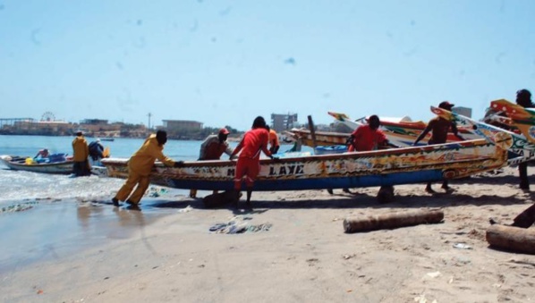 Départ de 3.000 pécheurs sénégalais de la Mauritanie: Le secteur de la pêche paralysé à Nouakchott