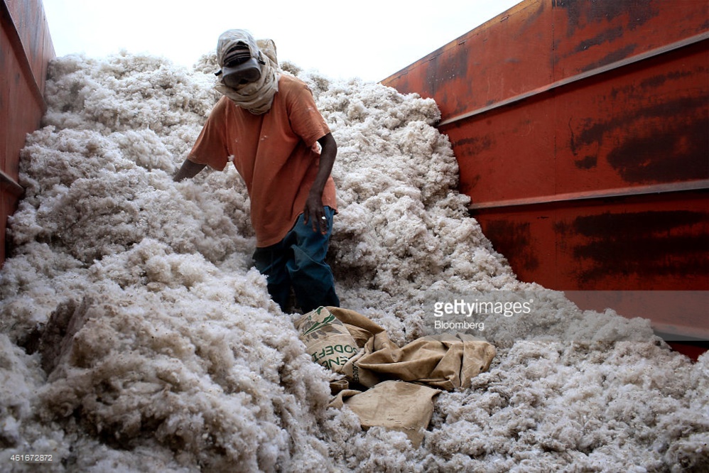 Sénégal : pourquoi la production cotonnière de Sodefitex a baissé en 2016