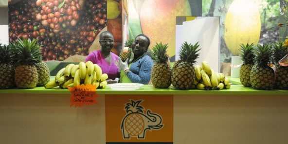 Le stand de la Côte d'Ivoire au Salon de l'agriculture à Paris, le 26.02.2015. © Vincent Fournier/JA