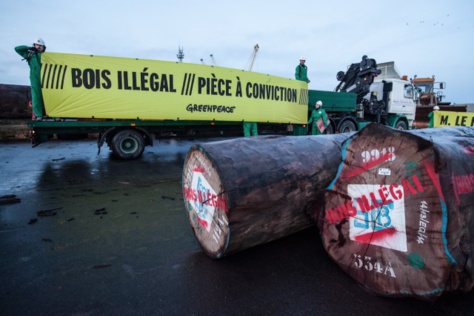 Le Sénégal et la Gambie en guerre contre le trafic de bois