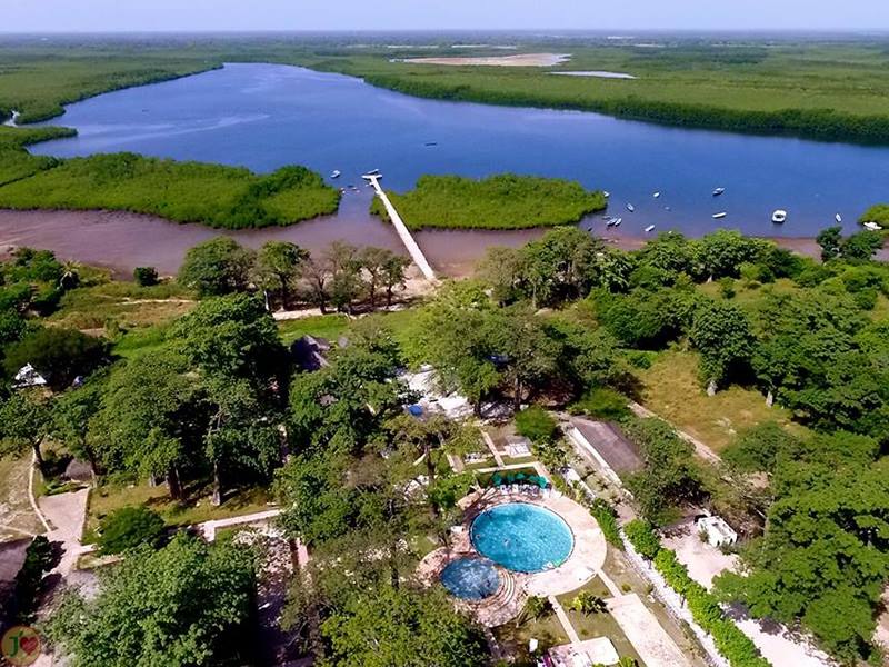 (Images) La mangrove de palétuviers du delta du Saloum