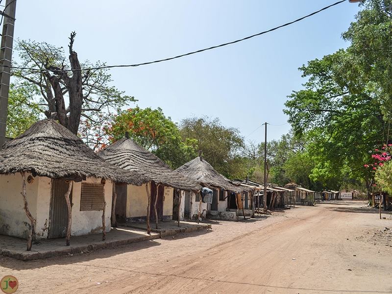 (Images) La mangrove de palétuviers du delta du Saloum