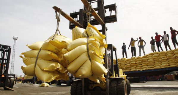 Importation du riz : Une facture de 226,4 milliards en 2015