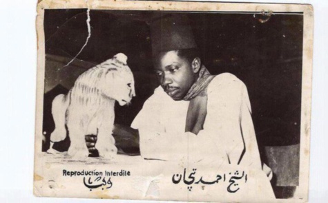 Al Maktoum, Nasser et le lionceau