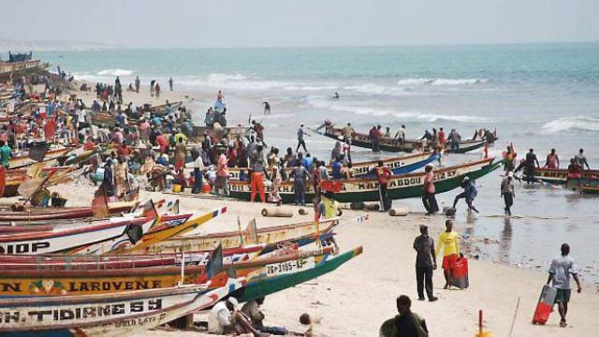 ​Conseil Ministériel sur la pêche: Les défenseurs de la mer auraient souhaité des assises pour assainir ce secteur capital 