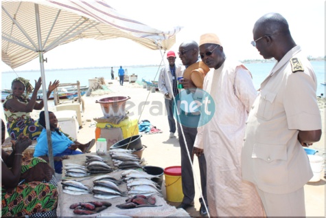 Photos: le Ministre de la Pêche et de l'Economie Maritime, Oumar Guèye à Missira