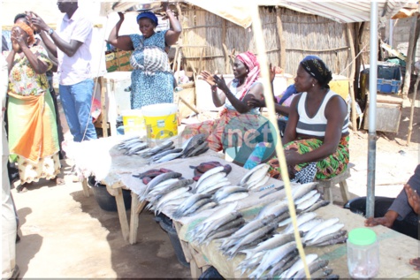 Photos: le Ministre de la Pêche et de l'Economie Maritime, Oumar Guèye à Missira