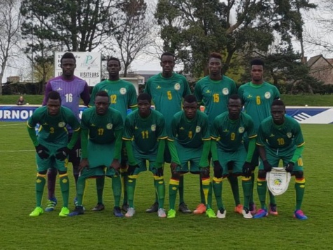 Les Lionceaux