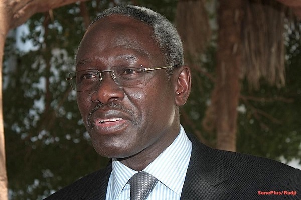 Exclusion de Farba Senghor et Pape Samba Mboup : les libéraux de Linguère déchirent la résolution Exclusion de Farba Senghor et Pape Samba Mboup : les libéraux de Linguère déchirent la résolution