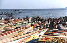 Surexploitation des ressources halieutiques au Sénégal: Un manque à gagner de 100 milliards pour l’économie