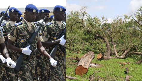 Le Sénégal oriental et la Casamance, régions les plus préoccupées par la protection de l'environnement (GOUVERNEUR)